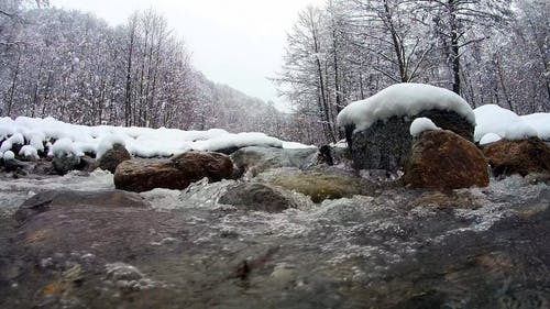 有关下雪的, 低角度视图, 冬季的免费素材视频