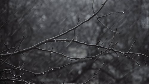 有关下落, 下雨天, 冬季的免费素材视频