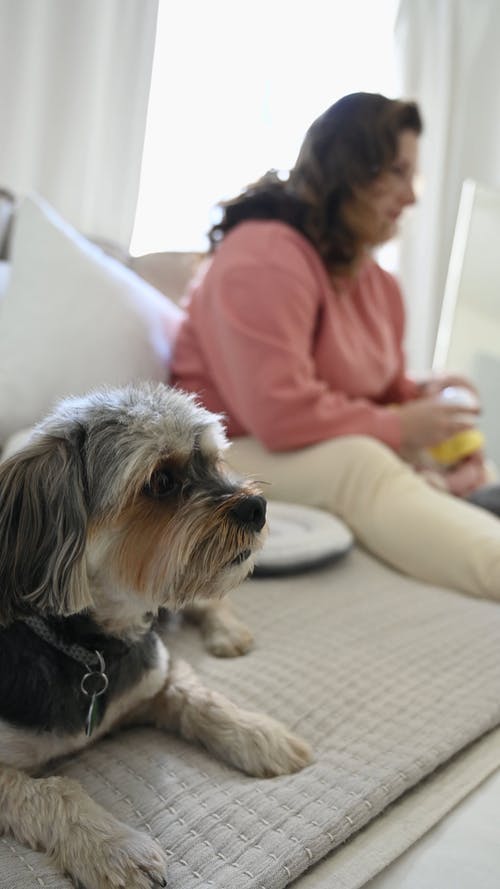 有关一起, 人, 休闲的免费素材视频