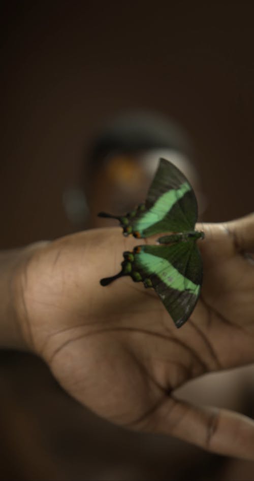 有关＃室内, fce, 中等特写的免费素材视频