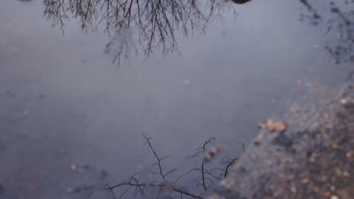 有关人, 保暖的衣物, 公园的免费素材视频