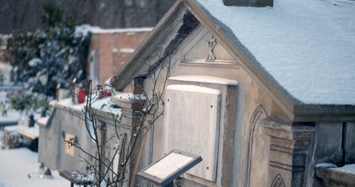 有关下雪的, 下雪的天气, 冬季的免费素材视频