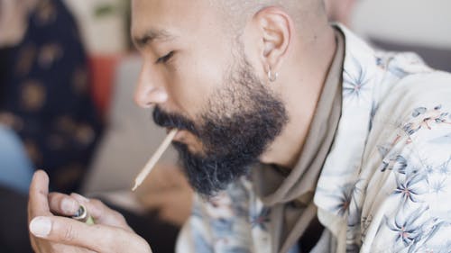 有关人, 大麻, 室内的免费素材视频