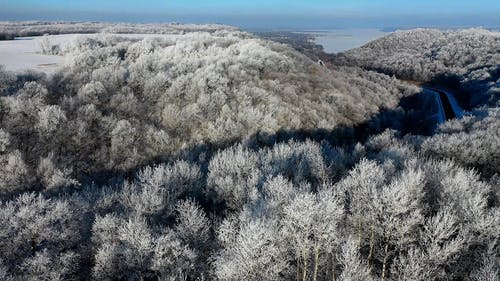 有关下雪的, 冬季, 冷的免费素材视频