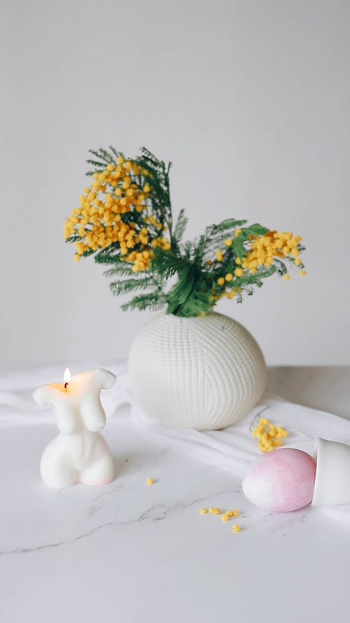 有关垂直视频, 布料, 摆桌的免费素材视频