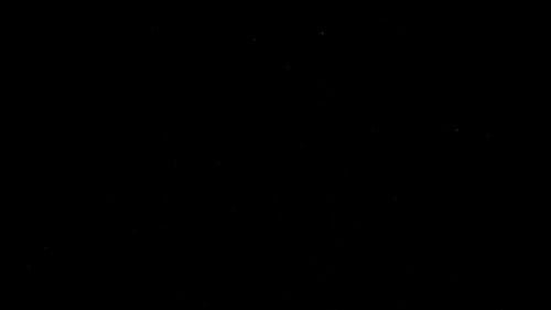 有关埋, 天气好, 宏观的免费素材视频