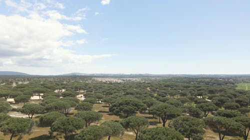 有关农业用地, 增长, 天空的免费素材视频