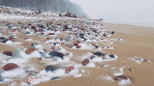 有关下雪的天气, 低角度拍摄, 冬季的免费素材视频