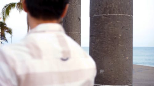 有关同志, 同志文化, 同性的免费素材视频