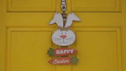 有关兔子, 可爱, 复活节快乐的免费素材视频