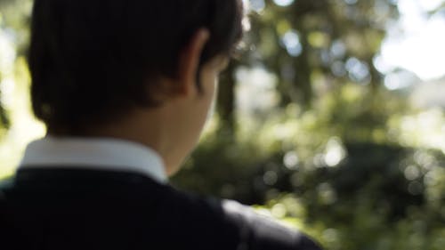 有关人物, 哈利波特, 天性的免费素材视频