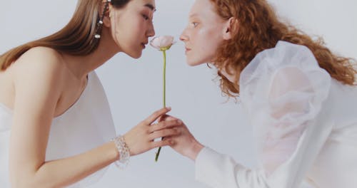 有关女人, 握住, 漂亮的免费素材视频