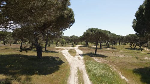 有关农业用地, 增长, 日光的免费素材视频