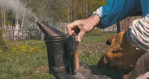 有关人, 养蜂人, 成人的免费素材视频