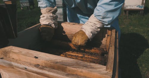 有关人, 个人防护, 养蜂人的免费素材视频