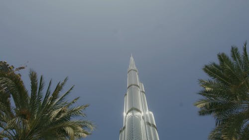 有关低角度拍摄, 光, 华丽的的免费素材视频