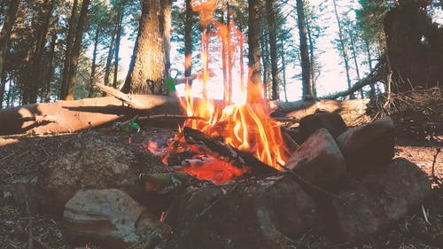 有关上网, 低角度视图, 冬季夹克的免费素材视频