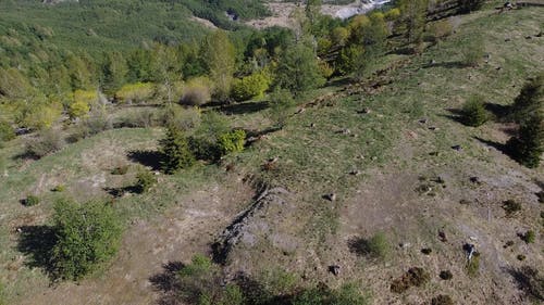 有关倾斜射击, 圣海伦火山, 成层火山的免费素材视频