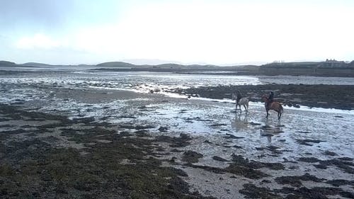 有关@户外, 土, 地平线的免费素材视频