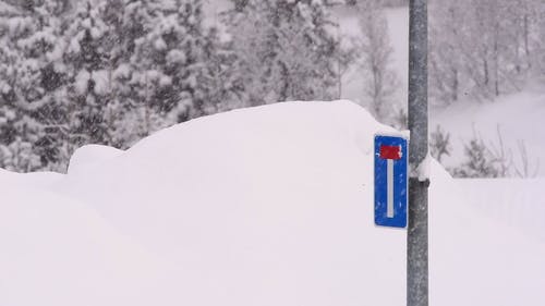 有关下雪, 下雪的, 交通标志的免费素材视频