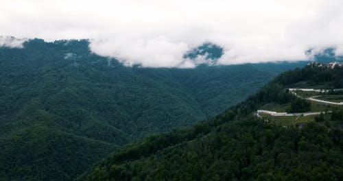 有关天性, 户外, 日光的免费素材视频