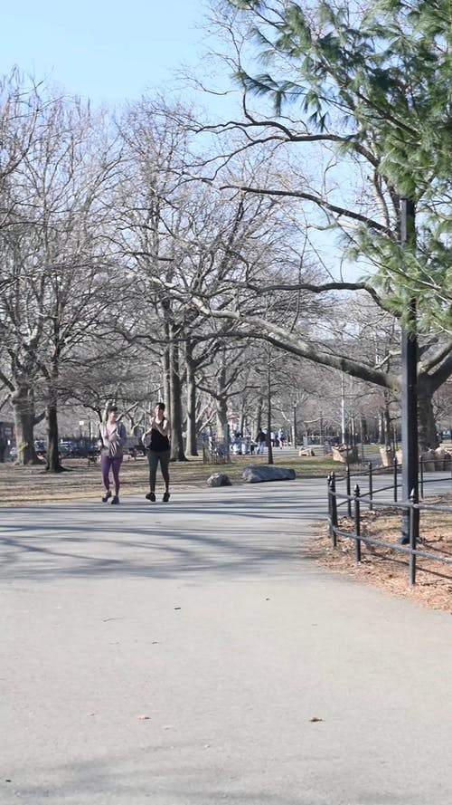 有关4k, 休闲, 公园的免费素材视频