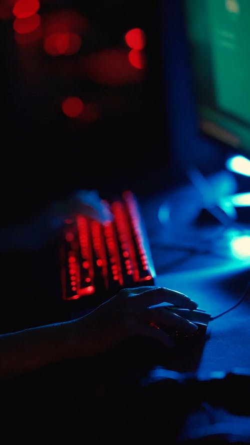 有关享受, 垂直视频, 娱乐的免费素材视频