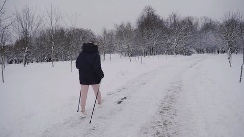 有关人, 光秃秃的树木, 公园的免费素材视频