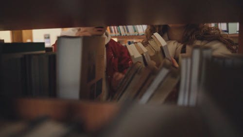 有关一起, 什锦的, 图书的免费素材视频