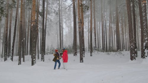 有关一对, 下雪, 下雪的的免费素材视频