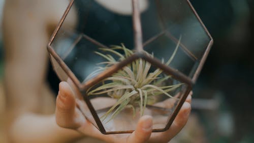 有关工厂, 几何, 手的免费素材视频