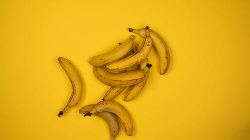 有关健康, 动画, 可口的的免费素材视频