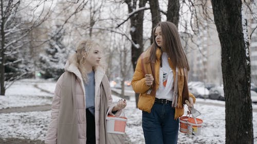 有关下雪的, 冬季, 冷的免费素材视频