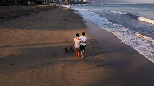 有关同志文化, 同性, 宠物的免费素材视频