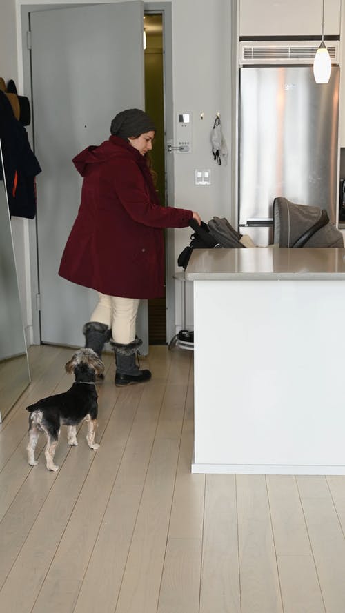 有关国内, 垂直视频, 女人的免费素材视频