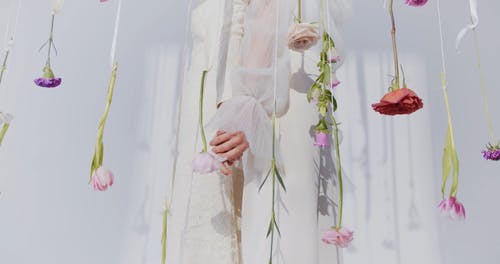 有关一对, 从下面, 低角度拍摄的免费素材视频