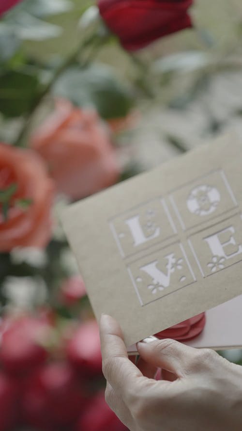 有关信, 信用卡, 剪下的图样的免费素材视频