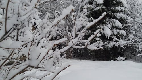 有关下雪的天气, 冬季, 冰的免费素材视频