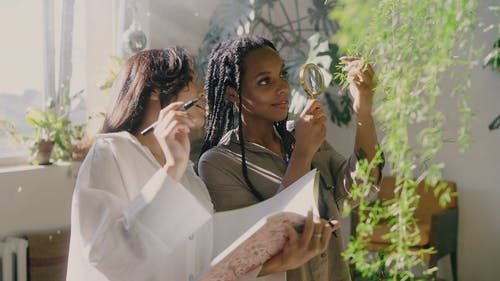 有关多样化, 女性, 室内的免费素材视频