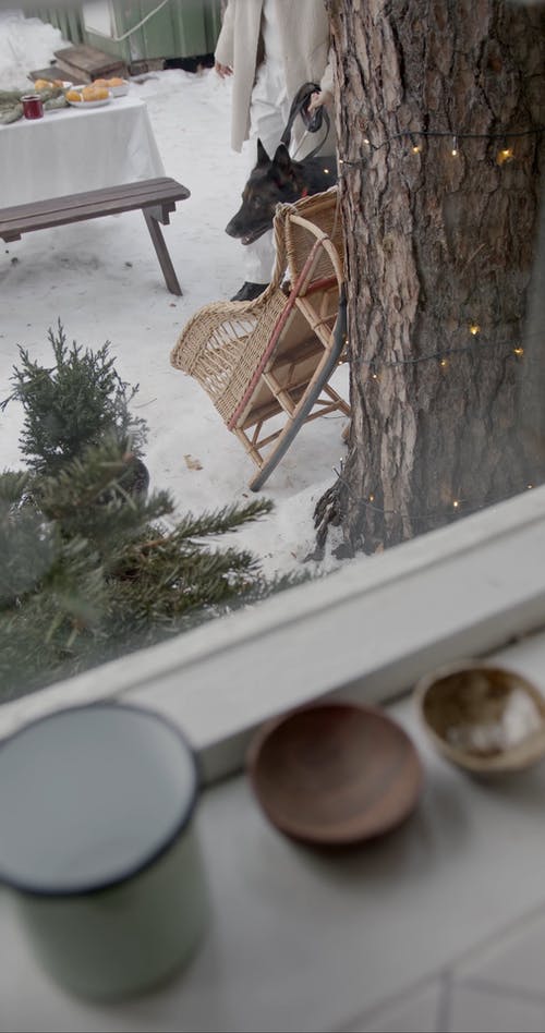 有关下雪的, 人, 冬季的免费素材视频