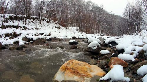 有关下雪, 冬季, 冬季景观的免费素材视频