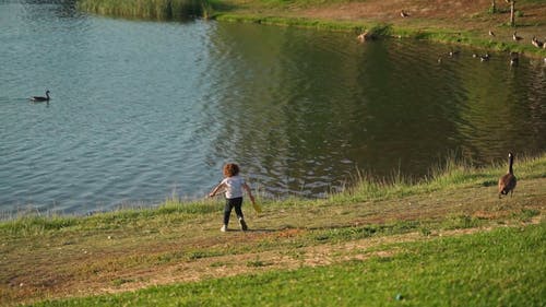 有关人, 儿子, 儿童的免费素材视频