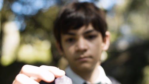 有关人物, 哈利波特, 天性的免费素材视频