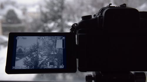 有关下雪, 冬季, 季节的免费素材视频