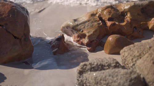 有关垂直视频, 天性, 岩石的免费素材视频