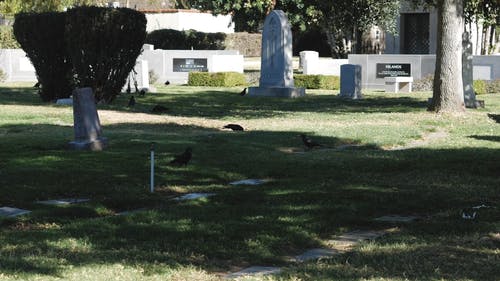 有关丧亲之痛, 墓园, 坟墓的免费素材视频