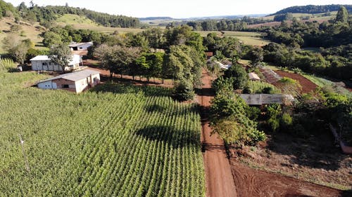 有关天性, 房子, 树木的免费素材视频