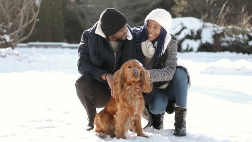 有关一对, 人, 冬季的免费素材视频