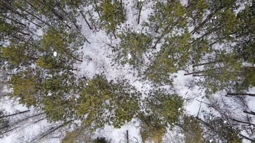 有关下雪的, 冬季, 冷的免费素材视频