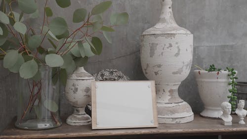 有关多莉射击, 室内植物, 植物的免费素材视频